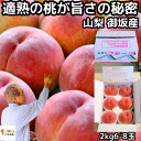 桃 山梨 お中元 早割 ギフト 糖度 甘い 御坂の桃 適熟の桃 特 2kg 6-8玉 硬い 贈答用 プレゼント 御中元 お盆 お供え 白桃 白鳳 川中島 もも ...