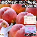 桃 山梨 お中元 早割 ギフト 糖度 甘い 御坂の桃 適熟の桃 特 5kg 13-15玉 硬い 贈答用 プレゼント 御中元 お盆 お供え 白桃 白鳳 もも 川中...