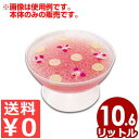 CAMBRO パンチボウル 石目模様 台座付き Φ38cm 10.6L PPB15 プラスチック(PC)ボール/ボール 料理 サラダ スープ デザート お皿 食器 入れ物 容器 丈夫 029050001(3)