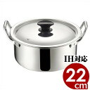 MT ALEプロ&煮込み鍋 22cm/4.2リットル IH(電磁)対応 ステンレス両手鍋/煮物 煮込み料理 072135022