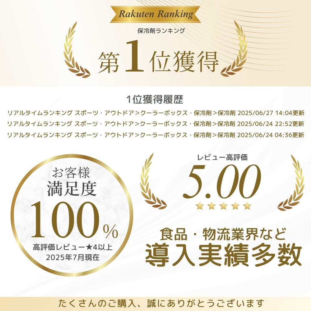 保冷剤 業務用 長時間 1000g 蓄冷剤 0℃ -16℃ 単品 クーラーボックス プロ仕様 業務...