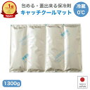 保冷剤 業務用 【楽天1位!】 大型 長時間 キャッチクールマット 1.3キロ 1枚 ソフト トライカンパニー 冷蔵 0℃ 最強 クーラーボックス 丈夫 マット...