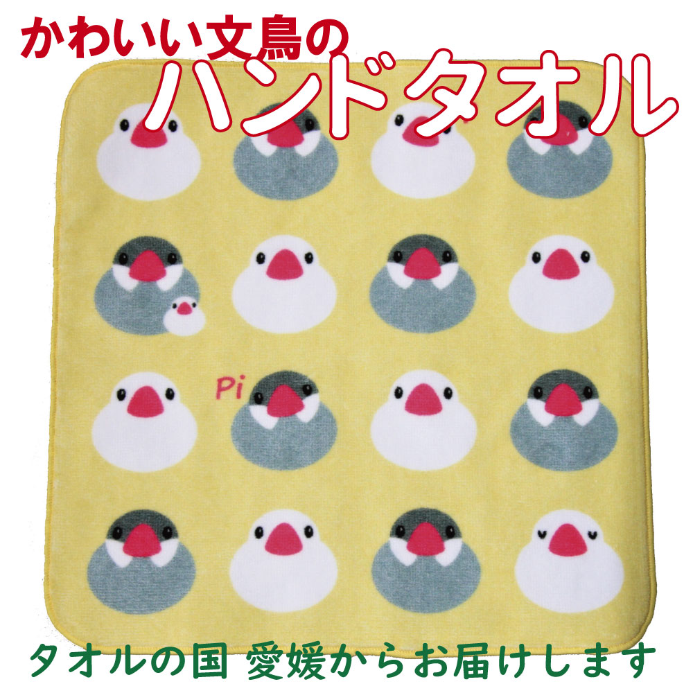 Rakuten - 文鳥 タオル ハンカチ 愛媛県産 スカラ加工 しっかり かわいい オリジナル デザイン (ハンドタオル)