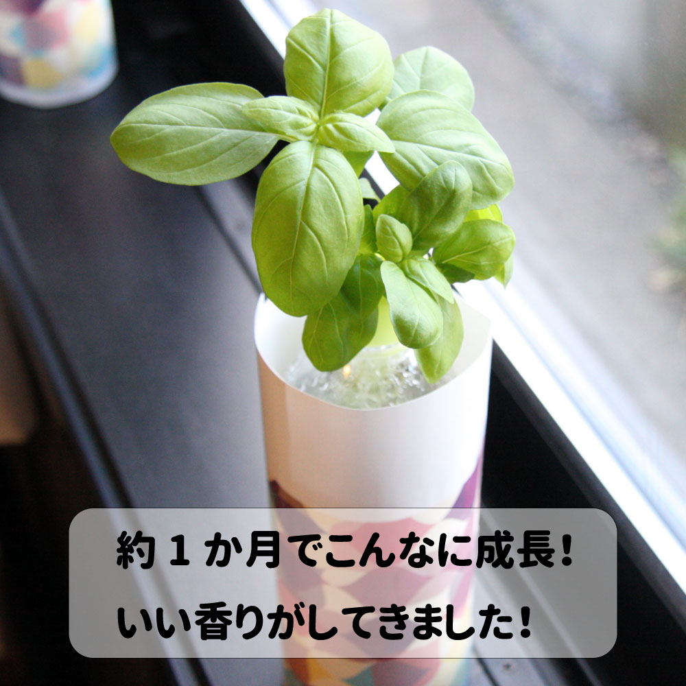 �ڥåȥܥȥ� ���� ���å� ������ ��̺��� �����ڱ� ���å� ��� ��ñ (�������ȥХ���)