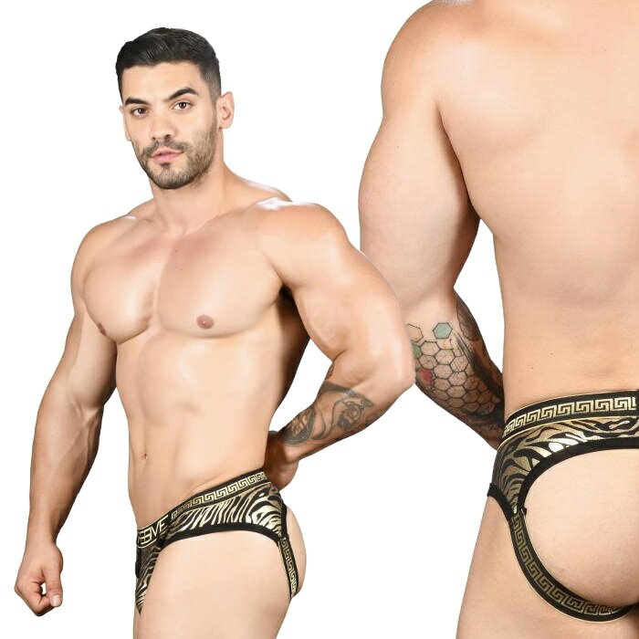 �����饤������å����ȥ�å� ���ĳ�� ���ĥ�� ��� ������������� ����ɥ�塼���ꥹ����� Andrew Christian���󥯥�Animal Attraction Locker Room ����å�(��������91470) [M�� 1/3]