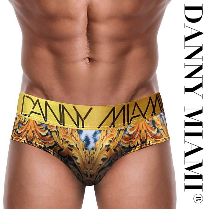 ブリーフ メンズブリーフ メンズローライズブリーフ ブリーフパンツ メンズ下着 メンズビキニ Danny Miami ダニーマイアミLeopardビキニブリーフ dm-leopard [M便 4/12]