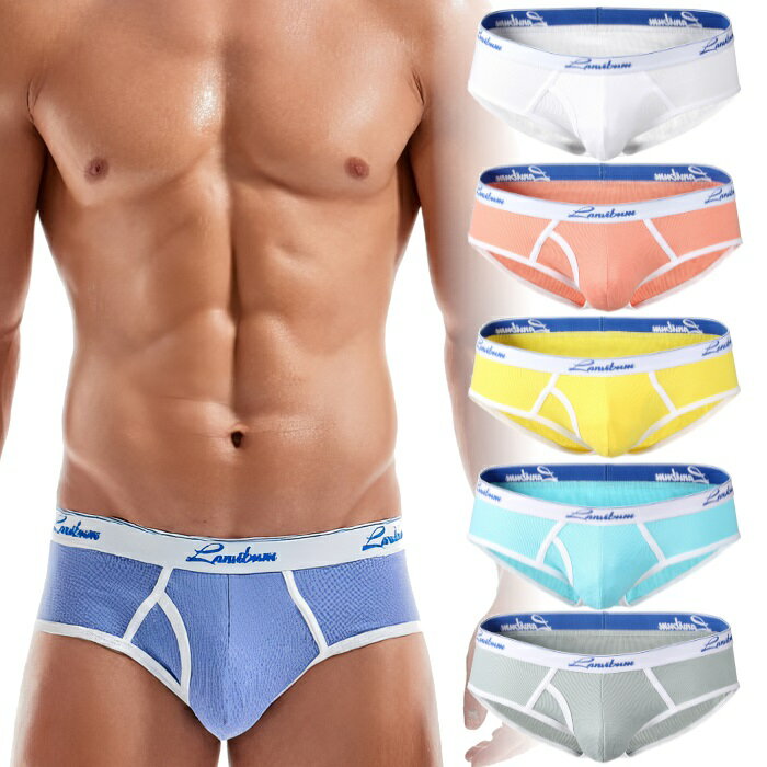 ブリーフパンツ メンズ 前開きブリーフ 綿・コットン生地 LanviBum パステルカラー 彼氏プレゼント 男..