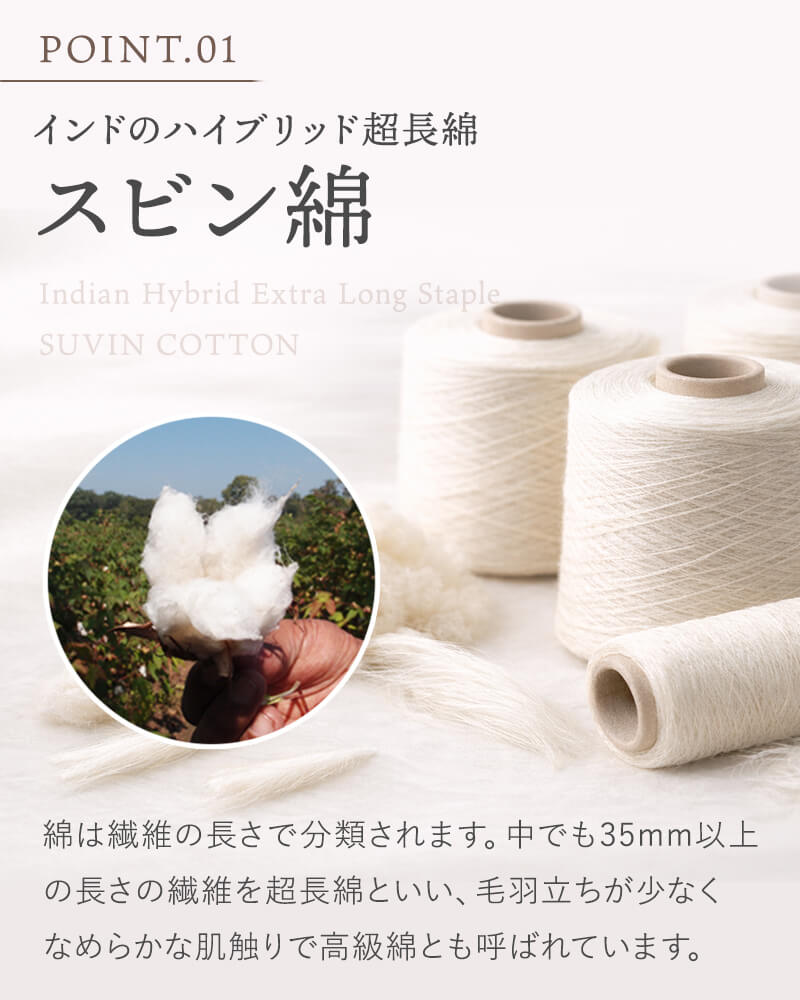 RAMCO ラムコ 枕カバー BlueBlood3D体感ピロー用 超長綿 スビン綿 綿100% 日本製 洗える [2]