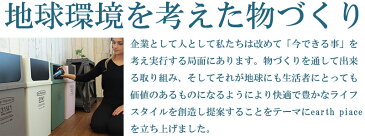 日本製ダストボックスごみ箱 アースカラーの地球に優しいゴミ箱 横型フロントオープンダストボックス深型 25L　earthpieceアースピース【送料無料】