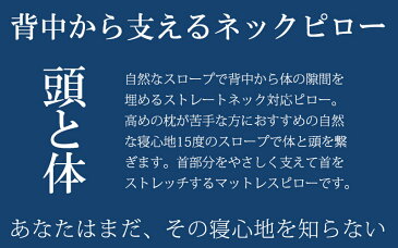 枕まくら BlueBloodナチュラルスロープネックピローマクラ チャクラChakra ブルーブラッド いびき 肩こり 姿勢 ストレートネック 送料無料 ※北海道540円・沖縄3,000円の別途送料が必要 【メーカー公式】