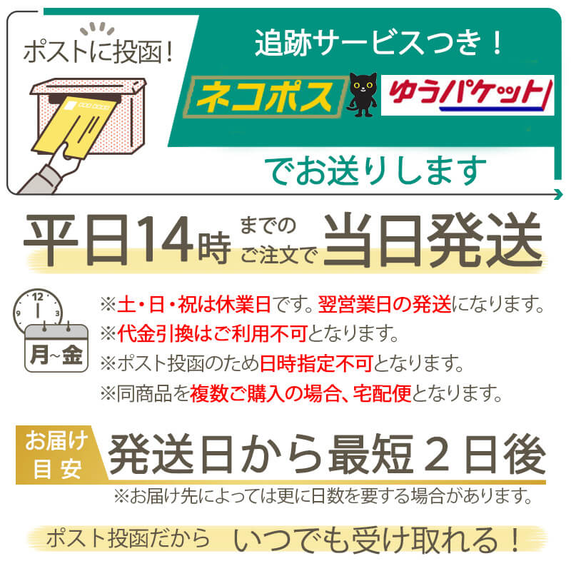 ���ɲ��ѥѥ��סۼ����²���꡼���佼���ɲåѥ������