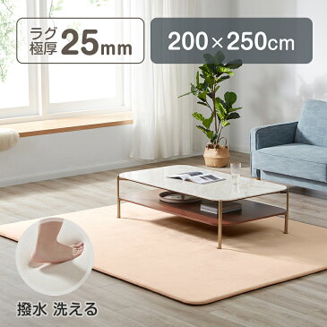 ラグ 低反発 はっ水 ラグマット 極厚25mm 抗菌防臭 200×250cm カーペット 厚手 滑り止め 洗える 角型 撥水 床暖房 ホットカーペット おしゃれ 防カビ 防ダニ オールシーズン マイクロファイバー リビング