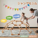 【5月限定セール】ジャングルジム 室内 大型 木製 大型遊具 球形 天然木 室内遊具 丸 五角形 赤ちゃん ベビー 幼児 子供 誕生日プレゼント 室内 屋外 室...
