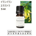 イランイラン エクストラ 精油 アロマ オイル 5ml イランイランエクストラ 香水 エッセンシャルオイル Ylang Ylang Extra 送料無料