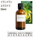 【10%OFFクーポン 店内2点で】 イランイラン エクストラ 精油 アロマ オイル 50ml イランイランエクストラ 香水 エッセンシャルオイル ..