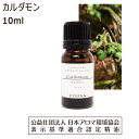 J_ A}IC A}  10ml  GbZVIC Cardamom 