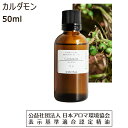 カルダモン アロマオイル アロマ 精油 50ml 香り エッセンシャルオイル Cardamom 送料無料