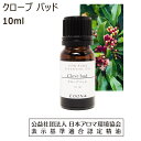 【10/20全品P5倍】 クローブ アロマ 精油 クローブバッド アロマオイル 10ml エッセンシャルオイル 丁子 チョウジ 香り Clove bud 送料無料