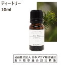  ティーツリーオイル ティートリーオイル 10ml ティーツリー オイル ティートリー 精油 アロマ アロマオイル エッセンシャルオイル ティートゥリー tea tree 送料無料