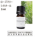 ローズマリー アロマオイル 精油 ローズマリーシネオール 5ml アロマ エッセンシャルオイル シネオール 香り rosemary cineole 送料無料