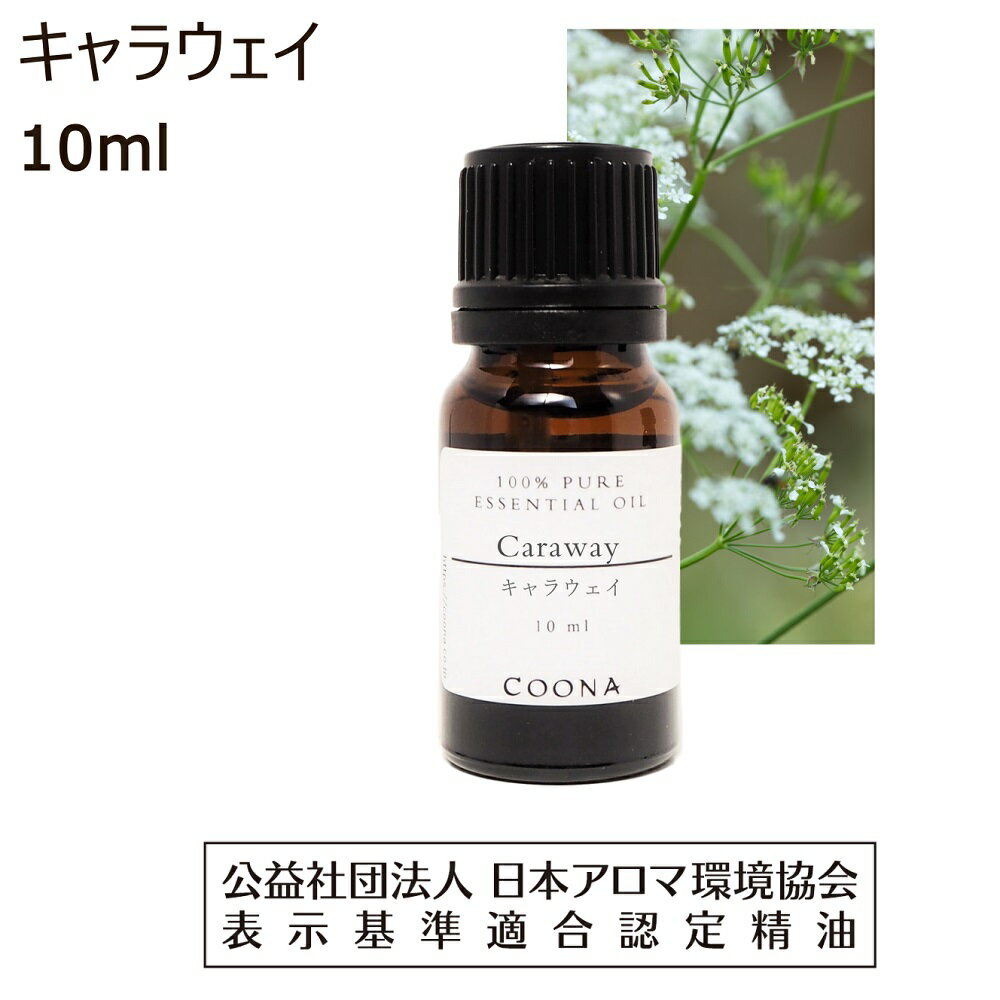  キャラウェイ 精油 アロマ オイル シード 香り 10ml アロマオイル エッセンシャルオイル姫茴香 ウイキョウ カルワイ キュンメル Caraway 送料無料