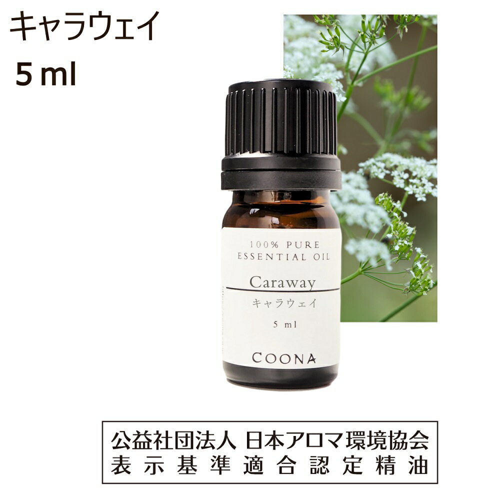 キャラウェイ 精油 アロマ オイル シード 香り 5ml アロマオイル エッセンシャルオイル姫茴香 ウイキョウ カルワイ キュンメル Caraway 送料無料