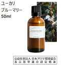 ユーカリ ブルーマリー 精油 アロマ オイル 50ml ユーカリプタス ポリブラクティア ユーカリ精油 eucalyptus エッセンシャルオイル 送料無料