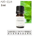 ペパーミント アロマオイル 精油 5ml エッセンシャルオイル アロマ ミント peppermint 香り 送料無料