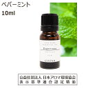 ペパーミント アロマオイル 精油 10ml エッセンシャルオイル アロマ ミント peppermint 香り 送料無料