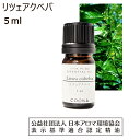 リツェアクベバ 精油 5ml メイチャン アロマオイル リトセア アロマ アオモジ エッセンシャルオイル litsea cubeba 青文字 香り 送料無料 その1