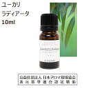 ユーカリ ラディアータ 精油 アロマオイル 10ml ユーカリ精油 ラディアタ ラジアータ アロマ エッセンシャルオイル 送料無料