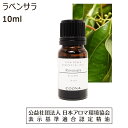  ラベンサラ 精油 アロマオイル 10ml ラビンサラ アロマ エッセンシャルオイル ラヴィンサラ ラベンツァラ 香り