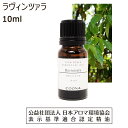 【5/5ポイント10倍】 ラヴィンツァラ 精油 ラビンツァラ ラヴィンサラ エッセンシャルオイル アロマ オイル 10ml 送料無料