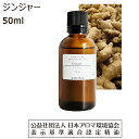 ジンジャー 精油 アロマ オイル アロマオイル 50ml エッセンシャルオイル 生姜 ショウガ 香り Ginger 送料無料(4)