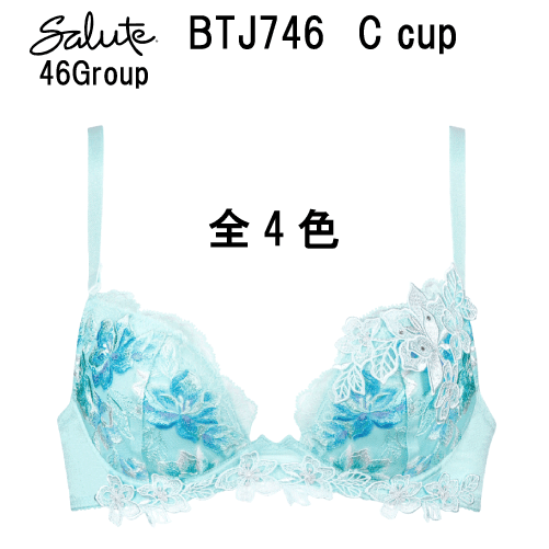 25％OFF【送料無料】ワコール サルート＜46グループ＞3/4カップ ブラジャー Cカップ（フロントエックスプラスブラ）Wacoal Salute BTJ746 slt76-v