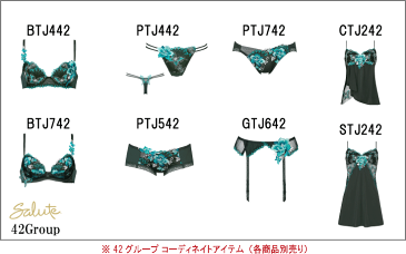 30%OFF【送料無料】ワコール セール サルート<42グループ>3/4カップ ブラジャー D/E/Fカップ きれいな谷間をつくるP-UP(プッシュアップタイプ)Wacoal Salute BTJ442 slt42-p