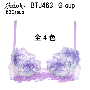 25％OFF【送料無料】ワコール サルート＜63グループ＞3/4カップ ブラジャー Gカップ（プッシュアップタイプ）Wacoal Salute BTJ463