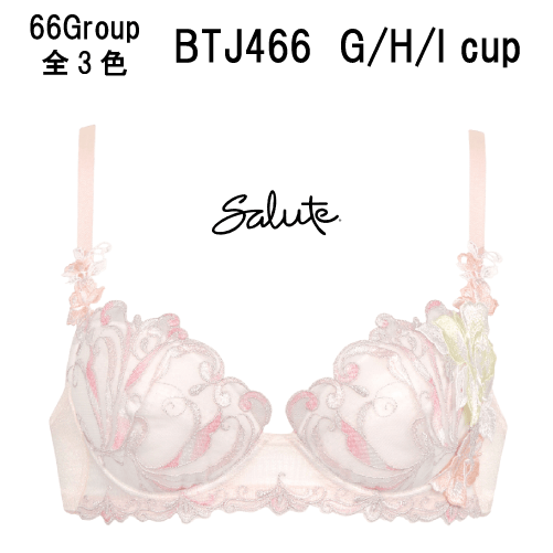 40％OFF【送料無料】ワコール セール サルート＜66グループ＞3/4カップ ブラジャー G/H/Iカップ（プッシュアップタイプ）Wacoal Salute BTJ466のサムネイル