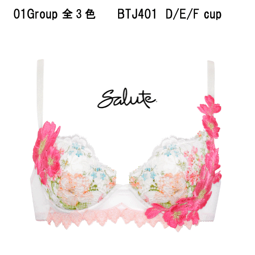 ◇ワコール◇01グループ◇高級ライン「サルート」◇ブラジャー◇E65 