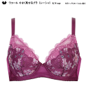 22%OFF【送料無料】ワコール <小さく見せるブラ>(レーシィ)(2024秋冬) G/Hカップ BRB453