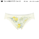 22%OFF ワコール 重力ケアブラ コーディネイト ハイレッグショーツ はきこみ丈あさめ(ローライズ)ショーツ (2025春夏)M/Lサイズ PXB194(ご指定が無い場合は3点までメール便での発送)(4)