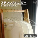 ハンガー ステンレス 20〜100本 セット【見せたくなるクローゼットにするステンレスハンガー 】 錆びない おしゃれ 洗濯 スリム 軽い 薄い あとがつかない...