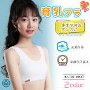 キッズ ノンワイヤー ナイトブラ 育乳 ブラジャー 育乳ブラ ジュニア 高校生 中学生 カップ付き スポーツ 夜用 バストアップ 入園 入学 入園グッズ 春 夏 秋 冬 送料無料 成長期 下着 肌着 インナー 綿 コットン 子供 可愛い アンダーウェア 通気 軽量 部活 ダンス 運動