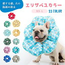 エリザベスカラー 猫用 犬用 ペット用品 傷舐め防止 去勢手術 ひまわり型 調節可能 柔らかい 可愛い 軽量 通気性 傷口保護 軽量 手術後 舐め防止 引っ搔き防止 隠しボタンデザイン サイズに調整する 耐水性 柔らかい ソフト 足舐め 病気 寝る 型崩れしにくい