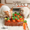 ペット おもちゃ 犬 にんじん畑 ノーズワーク 犬 おもちゃ 知育玩具 ペット プレゼント 犬用品 犬用おもちゃ ペット 用品 マット ペット プレゼント 噛む...
