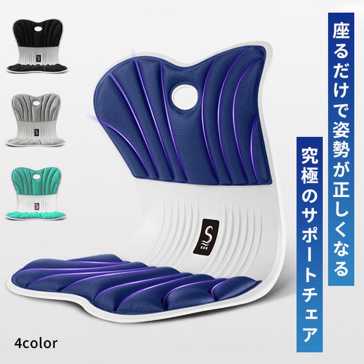サポートチェア 椅子 骨盤サポートチェア クッション デスクワーク 座椅子 オフィス 姿勢が良くなる 骨盤矯正 在宅ワーク ヘルニア予防 ゆがみ 解消 改善 腰痛 猫背 骨盤サポートチェア 姿勢矯正クッション 姿勢矯正イス