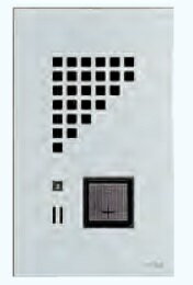 インターホン玄関子機 アイホン IE-NXUG 標準型玄関子機 カラーバリエーションシリーズ・埋込型 シャイニングシルバー [∽]