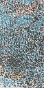 LIXIL/INAX ECSF-1260M/52 エコカラット セルフ ArtBrut アール・ブリュット 1260セット(付替え用) W606×H1212mm