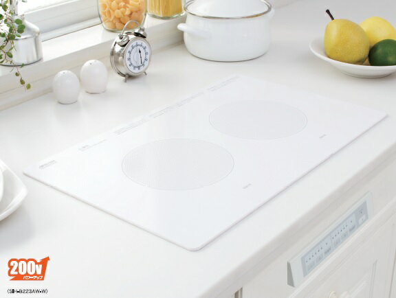 ȡSIH-B223AW-WIHҡ ӥȥ 2 ַ 200V ۥ磻 []