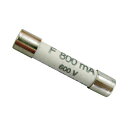 共立電気 MODEL 8918 ヒューズ 0.8A/600V